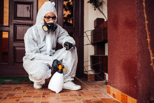 Reliable Cockroach Control contractor in Monte Sereno, CA by Nex Pest Control